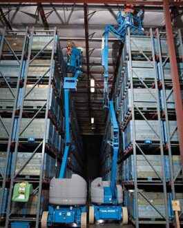 Plataforma Articulada Z-45/25J DC